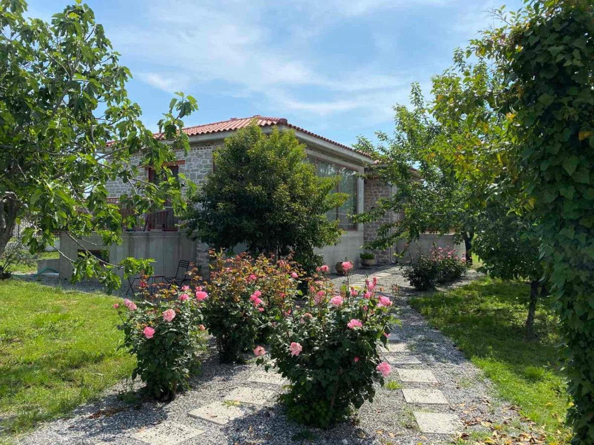Kampus Luxury Villas Tríkala Екстериор снимка