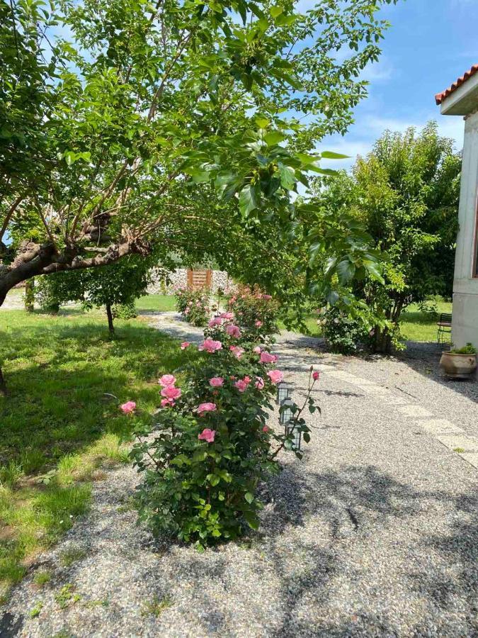 Kampus Luxury Villas Tríkala Екстериор снимка